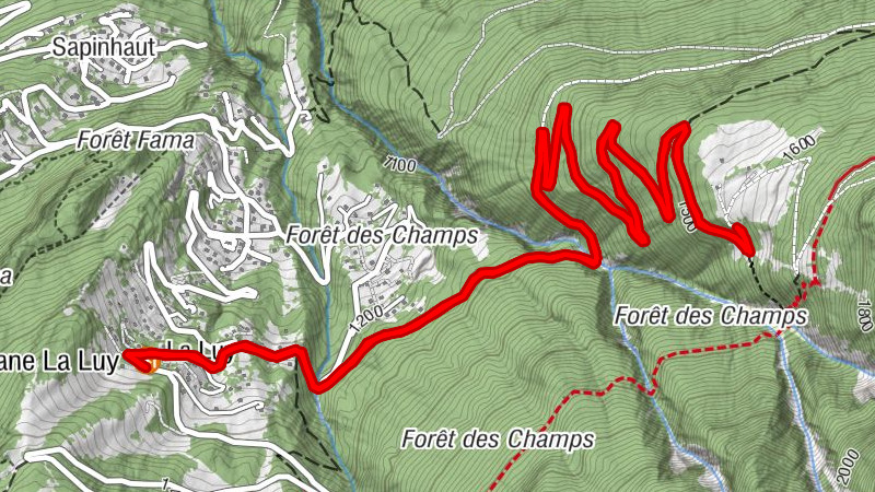 Carte