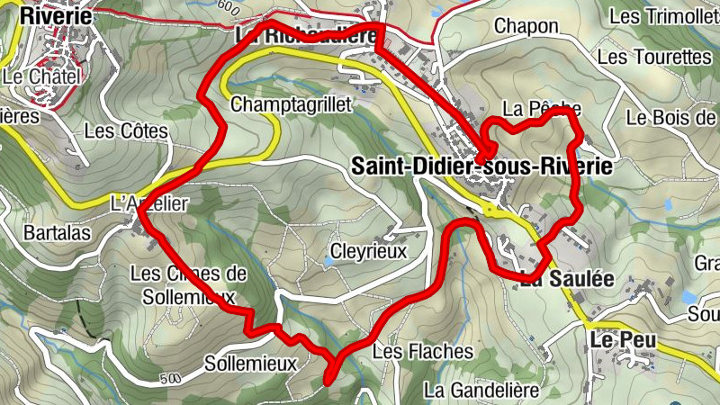 Carte