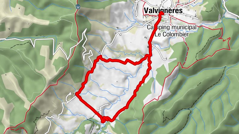 Carte