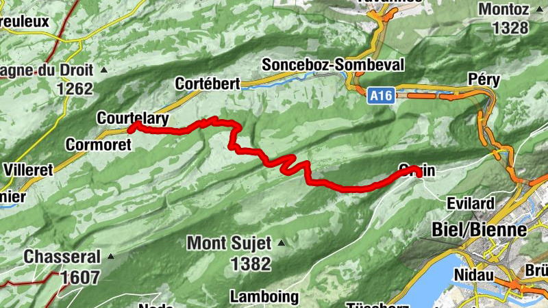Carte