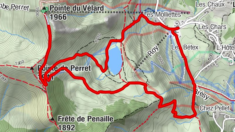 Carte