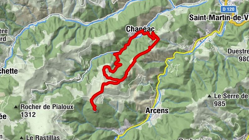 Carte