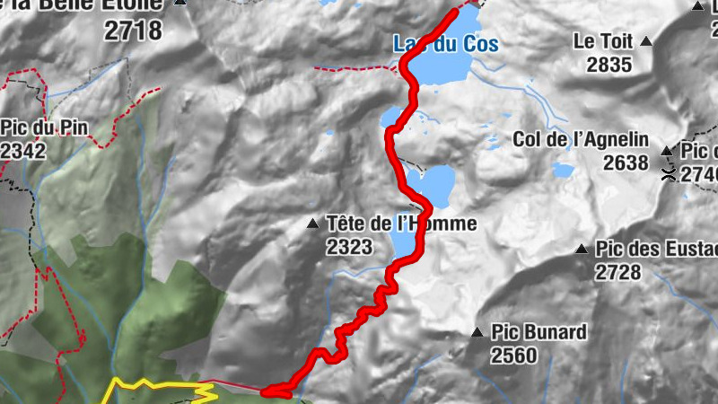 Carte
