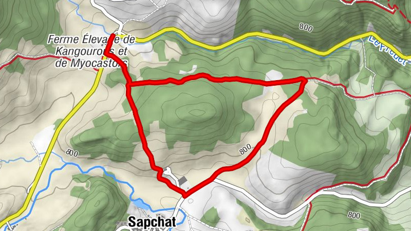 Carte