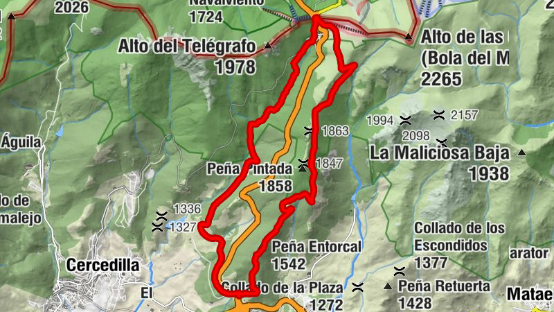 Carte