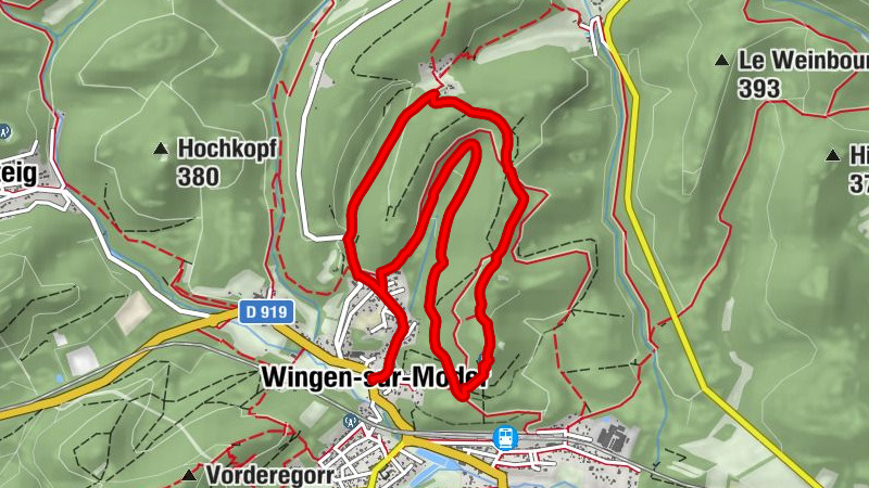 Carte