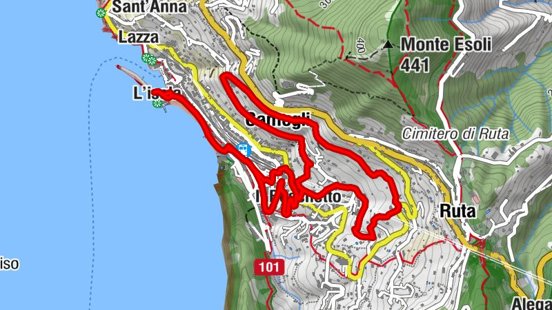 Carte