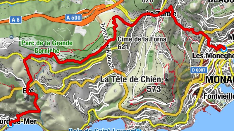 Carte