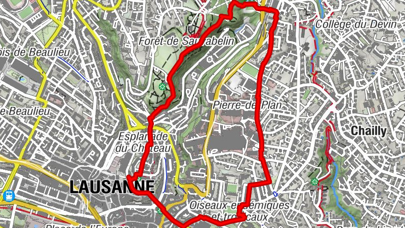 Carte