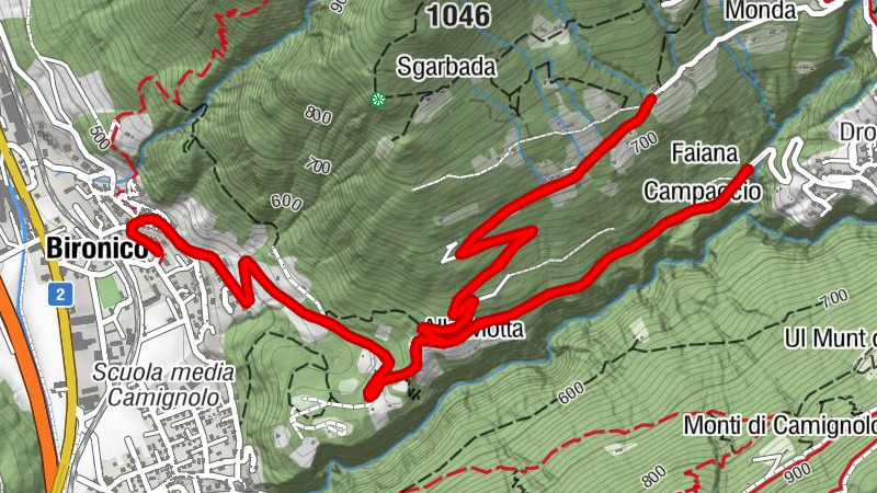 Carte