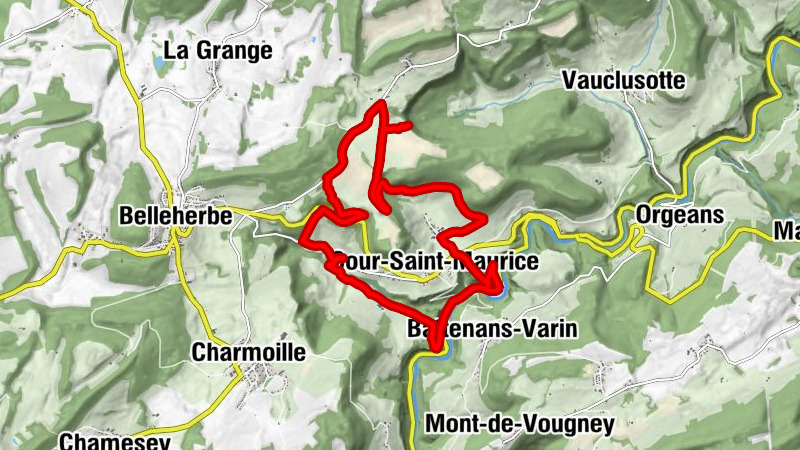 Carte
