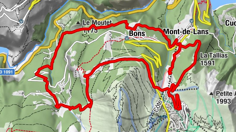Carte