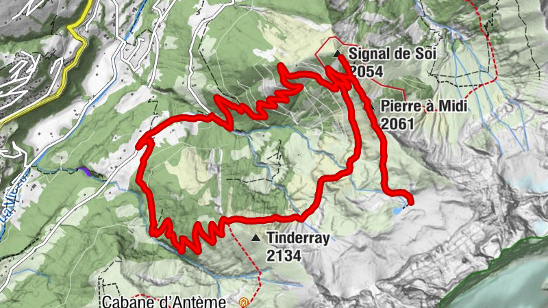 Carte