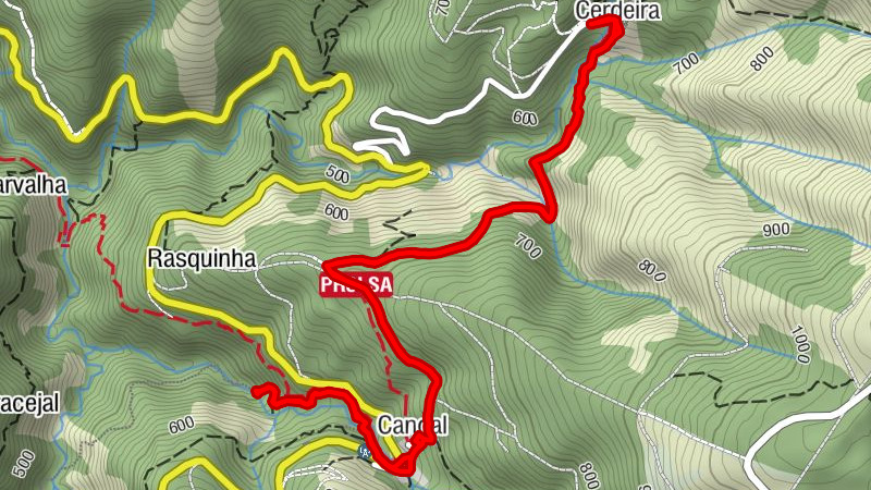 Carte