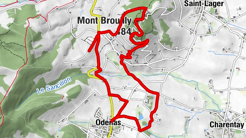 Carte