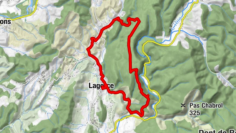 Carte