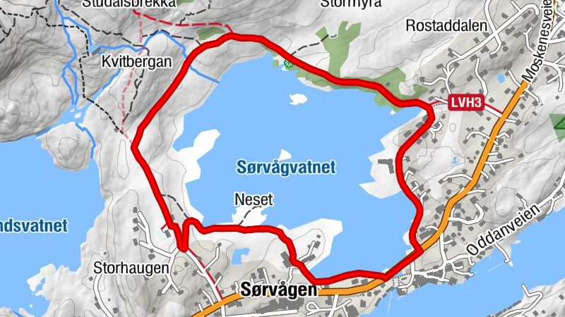 Moskenes - Neset - Sørvågen