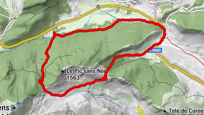 Carte
