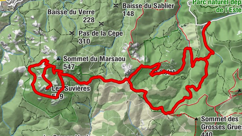Carte