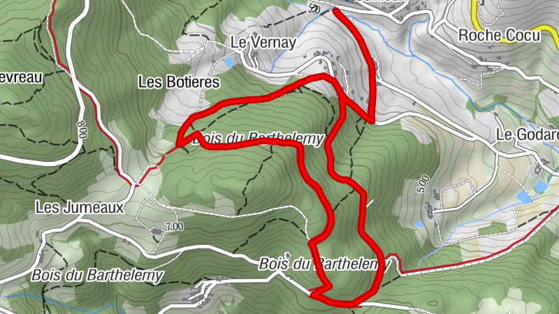 Carte