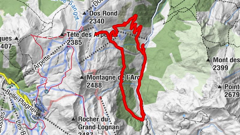Carte