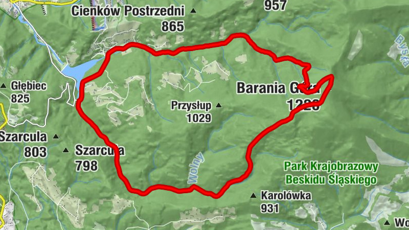 Carte
