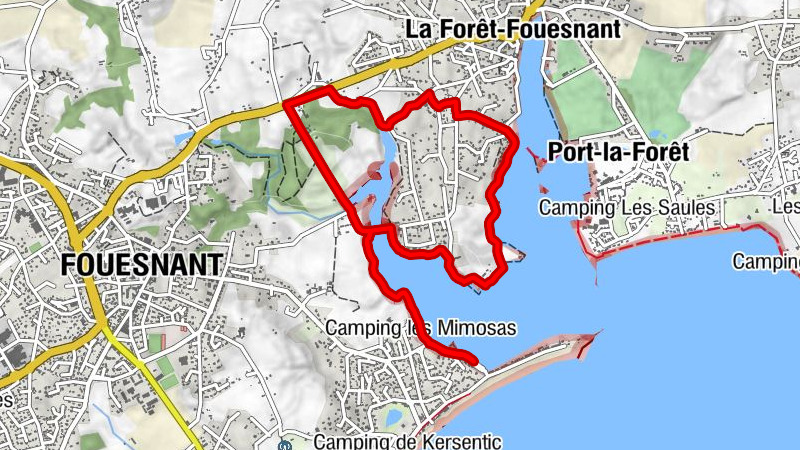 Carte