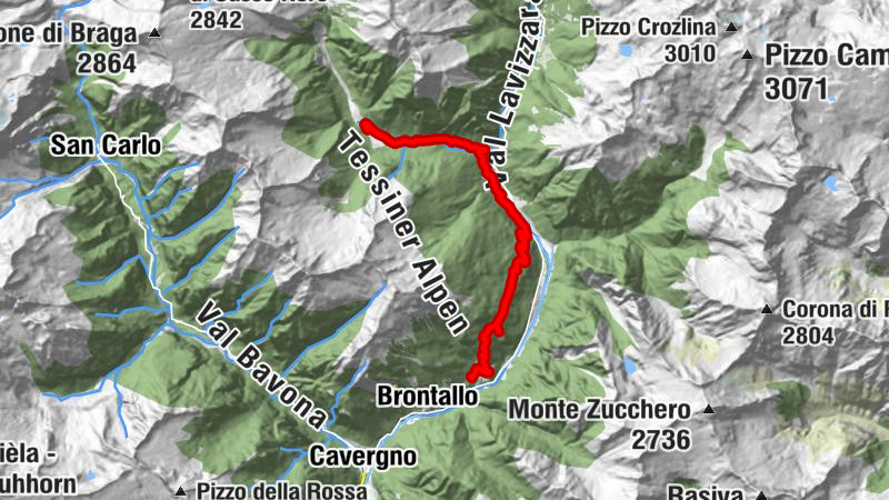 Carte