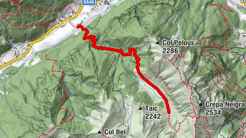 Carte