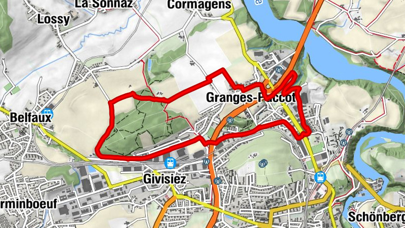 Carte