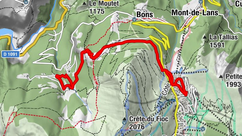 Carte
