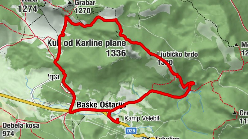 Carte