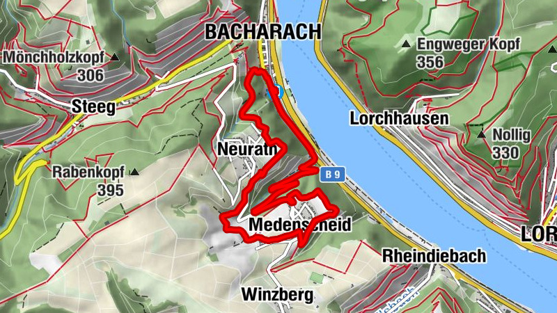 Carte