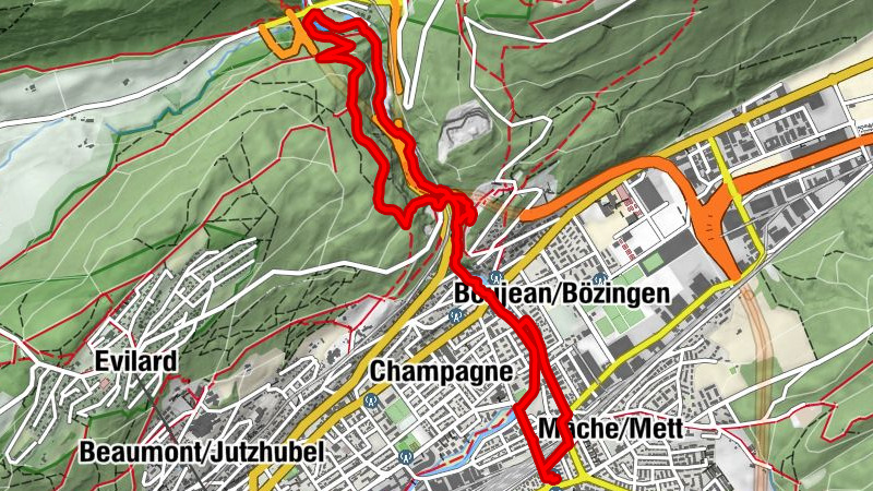 Carte