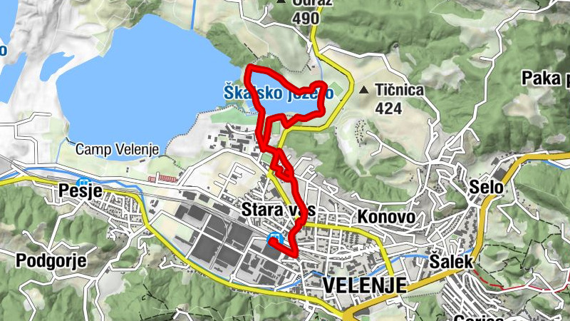 Carte