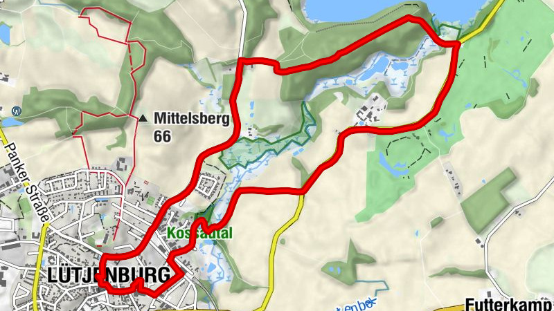 Carte