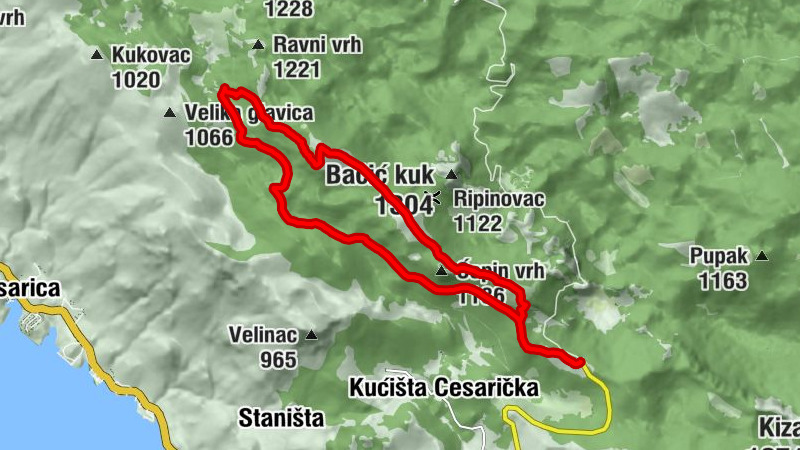 Carte