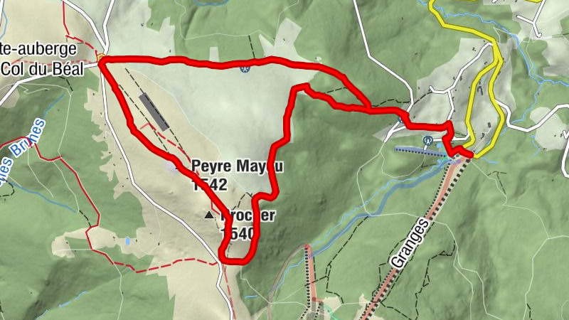 Carte