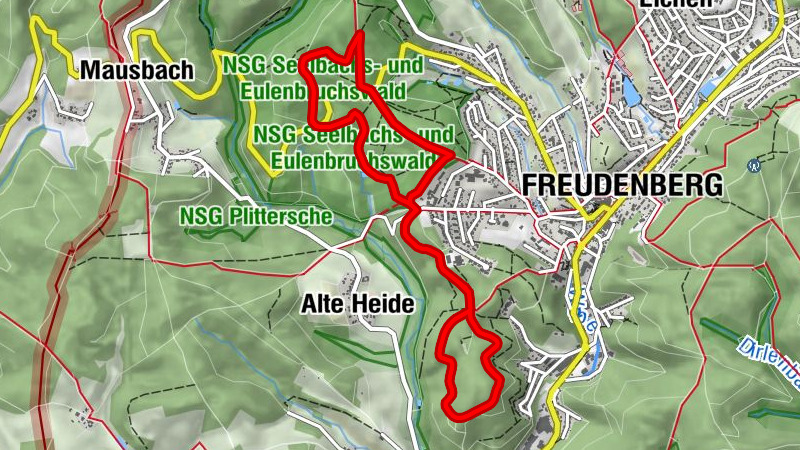 Carte