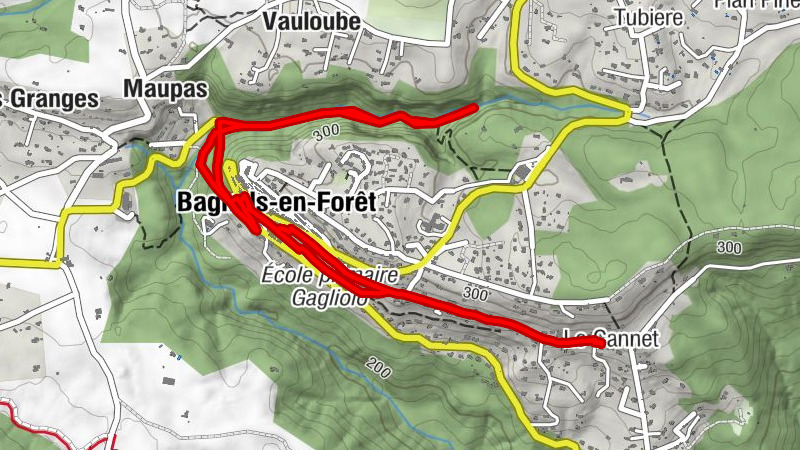 Carte