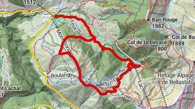 Carte