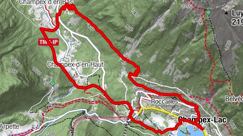 Carte