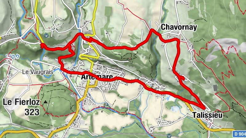 Carte