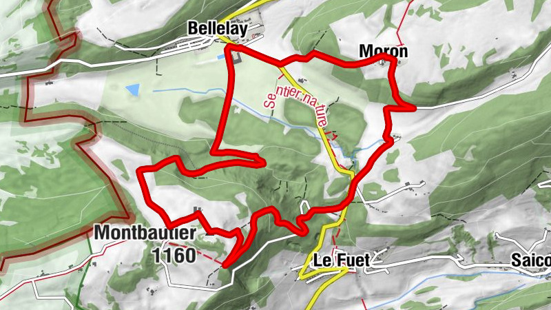Carte