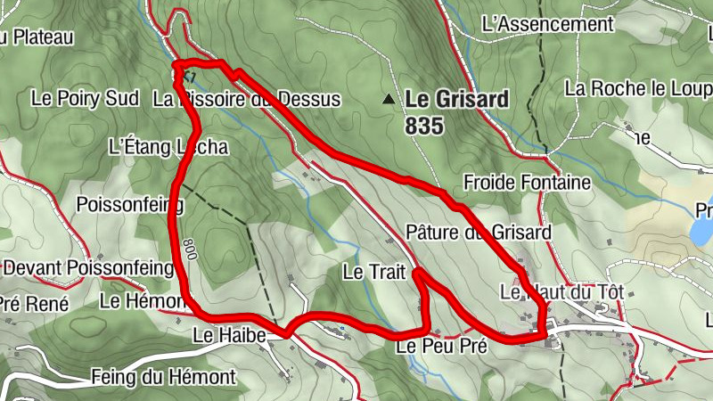 Carte