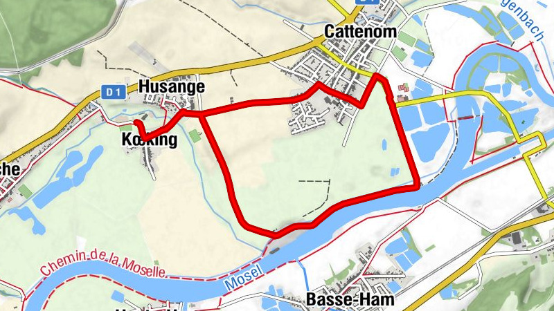 Carte