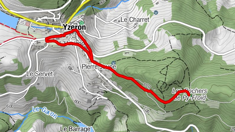 Carte