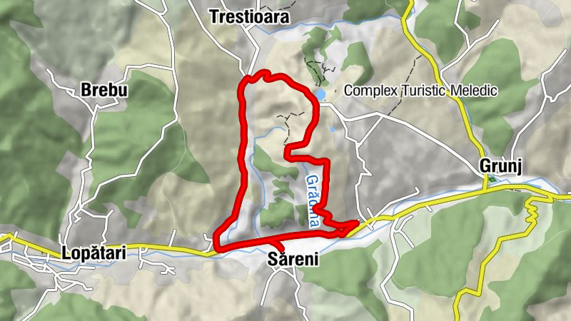 Săreni - Trestioara