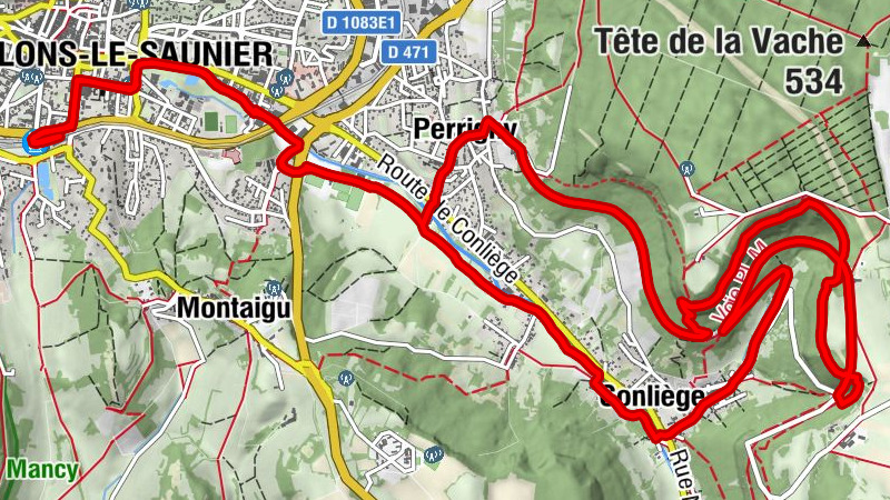 Carte