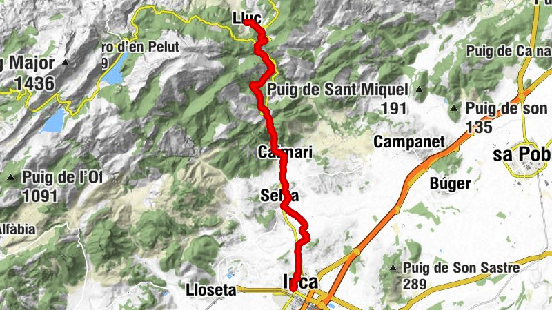 Carte
